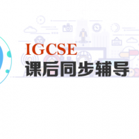 IGCSE课后同步辅导课程