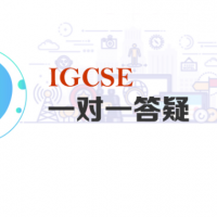 IGCSE一对一答疑