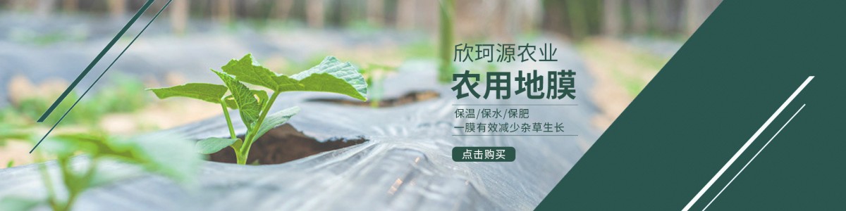 山东欣珂源农业发展有限公司