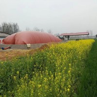 红泥软体沼气池设备 农村pvc沼气发酵袋 养殖场发酵储气袋