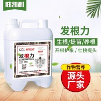 厂家批发生根壮秧剂植物扦插育苗肥微生物菌肥生根剂发根保花壮果