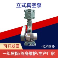 无油立式真空泵 温州凌威WL-300立式往复式真空泵