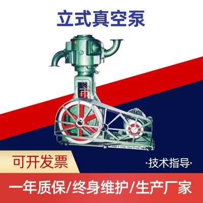 温州厂家生产 WL-100立式真空泵 质