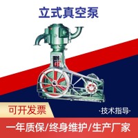 温州厂家生产 WL-100立式真空泵 质量可靠