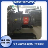 爱德华干泵GV250