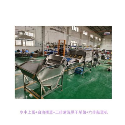 六排清洗蛋壳分离壳蛋敲蛋机鸡蛋清洗机设备鸡蛋烘干设备图3