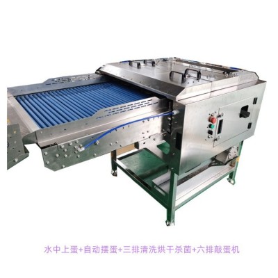 六排清洗蛋壳分离壳蛋敲蛋机鸡蛋清洗机设备鸡蛋烘干设备图2