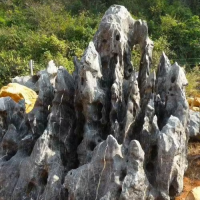 大型景观石天然黄蜡石太湖石假山石英石厂家黄蜡石厂家黑山石