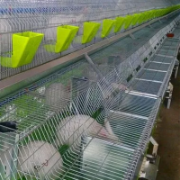 简易欧式兔笼欧式兔笼兔笼厂家自动喂料绞龙自动喂料机兔笼配件