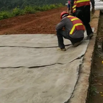 水泥固化毯 复合水泥毯 固化水泥毯 混凝士护坡固化毯
