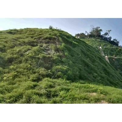 边坡防护    山体修复   边坡绿化