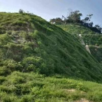 边坡防护    山体修复   边坡绿化