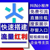 抖IN小程序快速搭建，抖IN全新流量入口,抢占流量红利