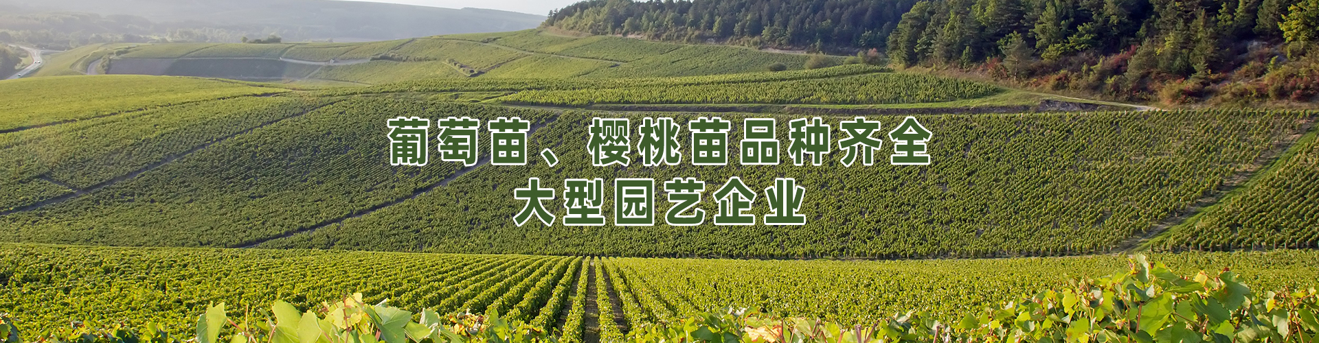 青岛丰宏农业科技有限公司