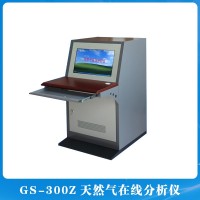 GS-300Z天然气在线分析仪