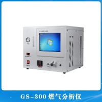 GS-300燃气分析仪