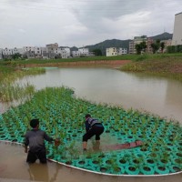 生态浮岛