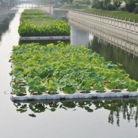 生态浮岛