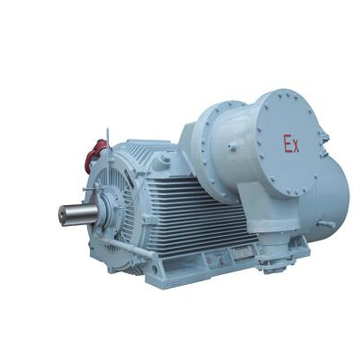 YBX3高压防爆电机-6kv，10kv