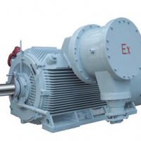 YBX3高压防爆电机-6kv，10kv