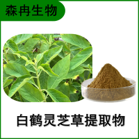 森冉生物 白鹤灵芝草提取物 大叶灵芝草提取物 比例提取原料粉