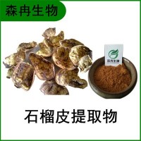 森冉生物 石榴皮提取物 石榴壳提取物 比例提取原料粉